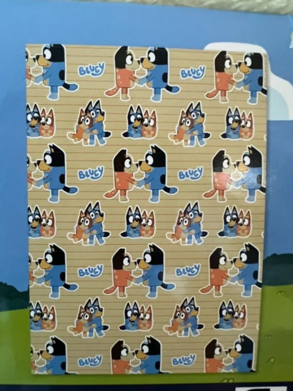 BLUEY OVERSIZED THROW